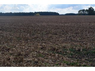 Property photo 82 - EHLE FARMS AUCTION - 118+/- ACRES IN 9 TRACTS IN ALLEN COUNTY, INDIANA